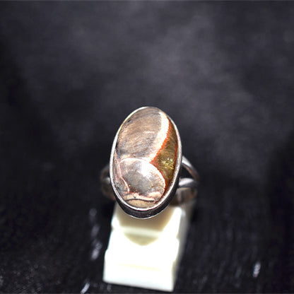 925 Sterling Silver Oval Petrified Wood Ring