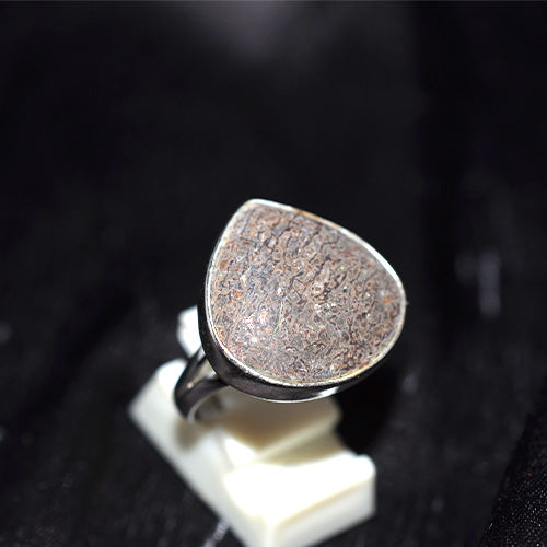 925 Sterling Silver Teardrop Dinosaur Bone Jasper Ring