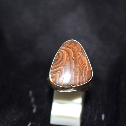 925 Sterling Silver Banded Petrified Wood Ring with Triple Shank