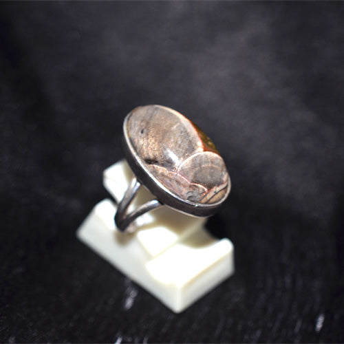 925 Sterling Silver Oval Petrified Wood Ring