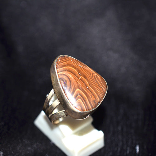 925 Sterling Silver Banded Petrified Wood Ring with Triple Shank