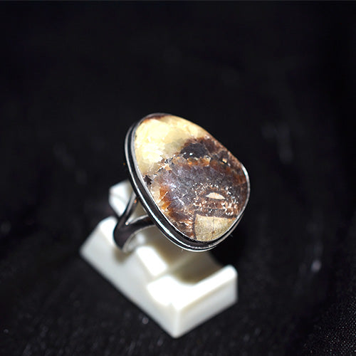 925 Sterling Silver Oval Bicolor Fossil Agate Ring